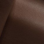 Коллекция Stella